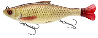 0001_Savage_Gear_3D_Hard_Pulsetail_Voorn_[Rudd].jpg